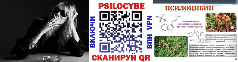 Купить где  Петровск-Забайкальский  Галлюциногенные грибы Psilocybine cubensis 